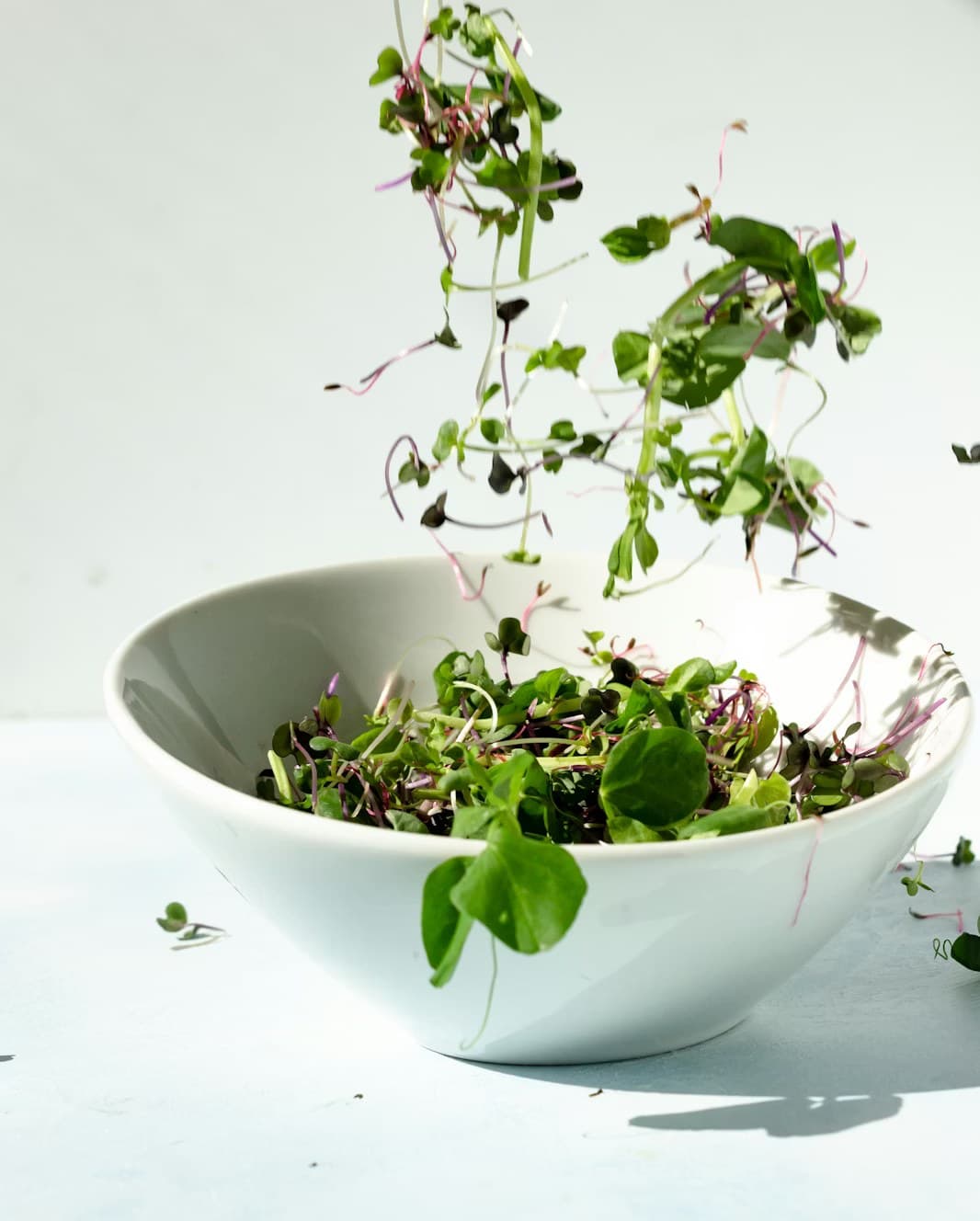 Microgreens: A Satwik Superfood Backed by Science & Ayurveda