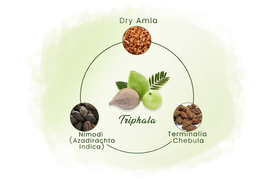 Triphala: The Ultimate Ayurvedic Guide to the Nectar of Life