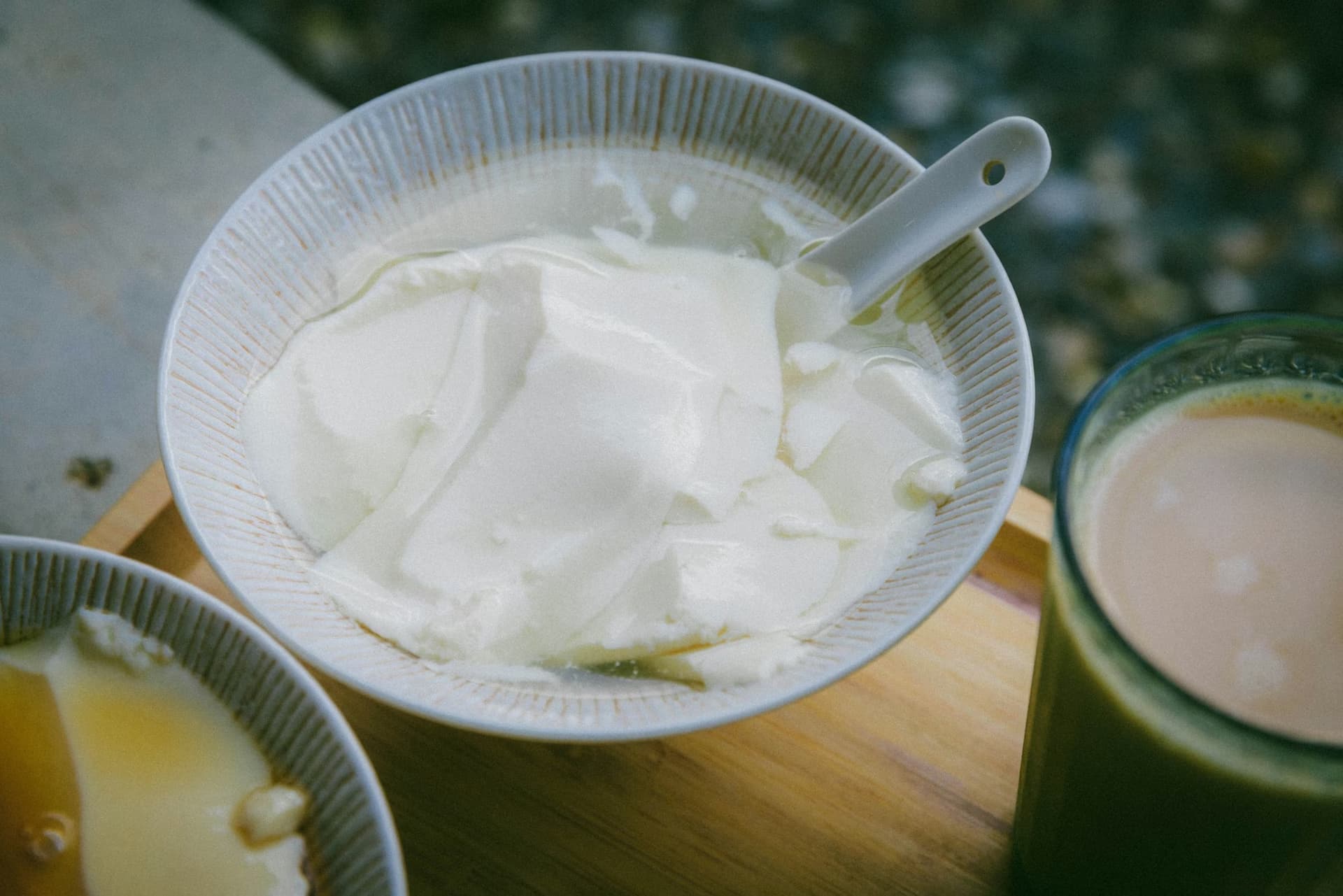 Satwik Yoghurt (Dahi): The Ultimate Gut-Healing Superfood from Ancient Wisdom to Modern Science